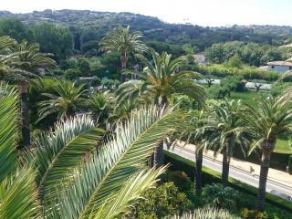 Taille de palmier près de Saint Tropez dans le Var