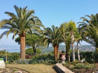 Var Elagage - taille ornementale de palmiers dans le Var