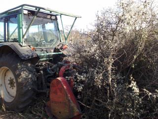 Débroussaillage tracteur dans champ - branchages - Var Elagage
